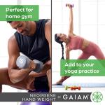 Gaiam Dumbbell Hand Weight (Sold in Singles) - Neoprene Coated Exercise & Fitness Dumbbell for Home Gym Workouts and Strength Training - Free Weights for Women and Men (15lb, Grey)