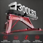 JOROTO MD80 Adjustable Weight Bench - 450 kg Capacity