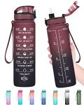 Enerbone Water Bottle, Leakproof BPA & Toxic Free, Motivational Water Bottle with Times to Drink and Straw, Fitness Sports Water Bottle with Strap for Office, Gym, Outdoor Sports