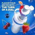 Cirkul 32oz. Chameleon Stainless Steel Water Bottle Starter Kit with Green Lid, 2 Flavor Cartridges (1 LifeSip Blackberry Blueberry, 1 GoSip Berry Blue Punch) No Sugar, Zero Calorie Drink Mix