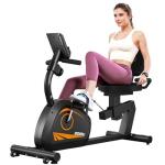 Goimu Recumbent Exercise Bike, Stationary Bikes for Home Magnetic Recumbent Bike with Adjust Seat for Adults Seniors, 300LB Capacity & 8-level Resistance, LCD Monitor and Heart Rate Handle