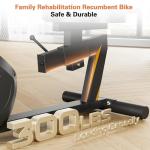 Goimu Recumbent Exercise Bike, Stationary Bikes for Home Magnetic Recumbent Bike with Adjust Seat for Adults Seniors, 300LB Capacity & 8-level Resistance, LCD Monitor and Heart Rate Handle