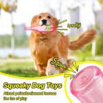 heqxwl Water Bottle Dog Toy for Aggressive Chewers, Cute Squeaky Indestructible Water Bottle Dogs Chew Toys for Medium/Small Dogs Interactive Dog Toys to Exercise and Accompany (Red)