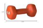 Amazon Basics Neoprene Dumbbell Hand Weights, 6 Pounds, Pair, Orange