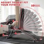 XDDIAS Workout Bench, Weight Bench with Leg Extension and Leg Curl, Preacher Curl Bench with Extended Headrest, Adjustable Incline Decline Flat Bench for Home Gym, 900LBS