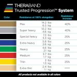 THERABAND Professional Latex Resistance Band Set, Pack of 7, Individual 6 Ft Elastic Band for Upper & Lower Body Exercise, Physical Therapy, Pilates, At-Home Workouts, 6 Foot Band, Levels 1 to 7