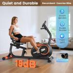 Recumbent Exercise Bike for Home
