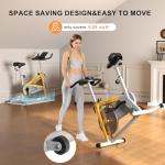 Exercise Bikes for Home,Indoor Cycling Bike with Adjustable Friction,Brake Pad Resistance Silent Belt Drive,330lbs Weight Capacity &Upgraded Version Seat for Home Cardio&Weight Loss(Classical Exercise Bikes Plus)
