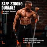 Resistance Bands with Handles, 175lb Exercise Bands for Working Out, Fitness Bands, Workout Bands with Door Anchor and Ankle Straps, Physical Therapy, Yoga, Strength Training Home Gym Equipment