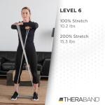 TheraBand - 12719 CLX Resistance Band with Loops, Fitness Band for Home Exercise and Full Body Workouts, Portable Gym Equipment, Gift for Athlete, Individual 5 Foot Band, Silver, Super Heavy, Advanced Level 2
