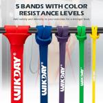 WIKDAY Resistance Bands for Working Out, Exercise Bands, Workout Bands, Pull Up Assistance Bands for Body Stretching Training Physical Therapy Muscle Training for Men & Women Multicolour (8-100lbs)