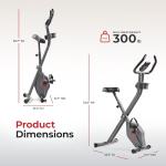 Sunny Health & Fitness Foldable Magnetic Exercise X-Bike Pro, 300 LB Capacity, Low-Impact, 14-Level Resistance, Ergonomic Support, SunnyFit® App Enhanced Bluetooth Connectivity - SF-B223011