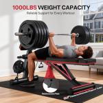 JOROTO Adjustable Weight Bench for Home Gym, 1000 LBS Capacity, Foldable Incline Decline Flat Workout Bench with Leg Extension & Back Extension, Exercise Preacher Curl Bench for Full Body Training