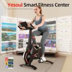 YESOUL Exercise Bike for Home – Stationary Bike with Stable Triangle Frame, Silent Magnetic Resistance, 300 lbs Capacity, Dual-Stage Drive & Alloy Flywheel, Smart APP with Scenic & Live Classes