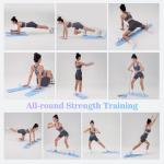 Nicoler Portable Pilates Reformer - Pilates Board 8-in-1 Multi-Functional Pilates Equipment with Workout Cards, 20lbs + 30lbs Resistance Bands, Ankle Straps for Home Workout, Fitness, Abs(Blue)