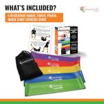 SmarterLife Resistance Bands for Working Out, Latex-Free Exercise Bands for Women, Men, 5 Extra Wide Workout Bands for Weight Loss, Home Gym, Booty Bands, Physical Therapy Bands, Workout Guide