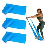 Rhinenet 3 PCS 10LB/15LB Resistance Bands Long Non-Latex Elastic Stretch Bands Work Out Band for Working Out Women or Men, Exercise Bands Set Yoga, Pilates, Gym, 5FT/6.5FT Blue