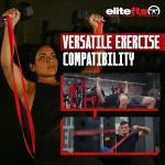 EliteFTS Pro Resistance Band - Boost Core Stability and Flexibility with This Portable, Joint-Friendly Tool - 41" Long (PRO MINI Resistance Band, Red) (Pair)