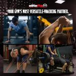 EliteFTS Pro Resistance Band - Boost Core Stability and Flexibility with This Portable, Joint-Friendly Tool - 41" Long (PRO MINI Resistance Band, Red) (Pair)