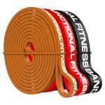 Functional Fitness Pull Up Assist Resistance Bands | Heavy Duty Loop Exercise Bands for Powerlifting, Mobility, and Stretching | Travel Friendly Resistance Bands for Workout | Combo Pack of 3