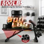 JaxShark Adjustable Weight Bench, Foldable Workout Bench Press, 800LBS Weight Benches for Home Gym, Workout Equipment with Preacher Curl & Leg Extension, Incline Decline Flat Bench for Full Body Exercise & Fitness Equipment (Black)