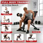 JaxShark Adjustable Weight Bench, Foldable Workout Bench Press, 800LBS Weight Benches for Home Gym, Workout Equipment with Preacher Curl & Leg Extension, Incline Decline Flat Bench for Full Body Exercise & Fitness Equipment (Black)