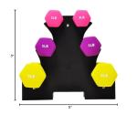 Set of 6 Colorful Neoprene Dumbbells with Rack