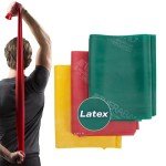 TheraBand Resistance Bands Set for Full Body Workout