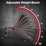 PASYOU Adjustable Weight Bench 660LBS, Foldable Incline Decline Bench for Home Gym, Dumbbell Exercise Bench for Full Body Workout, Compact Flat Workout Bench for Small Spaces Strength Training, Grey