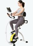 CUDOEEAI Ergonomic Recumbent Exercise Bike, Foldable Space-Saving, Quiet Magnetic Resistance, LCD Monitor & Tablet Holder for Indoor Cardio