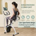 CUDOEEAI Ergonomic Recumbent Exercise Bike, Foldable Space-Saving, Quiet Magnetic Resistance, LCD Monitor & Tablet Holder for Indoor Cardio