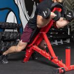 REP AB-3100 Adjustable Bench | Red Weight Bench for Home Gym | Foldable FID Design | Flat Incline Decline Strength Training Equipment | Compact Workout Chair