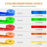 Resistance Bands, Pull Up Bands, Pull Up Assistance Bands Set for Men & Women, Exercise Workout Bands for Working Out, Body Stretching, Physical Therapy, Muscle Training