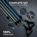 VEICK Resistance Bands, Exercise Bands, Workout Bands, Resistance Bands for Working Out with Handles for Men and Women, Exercising Bands for Fitness Weights Work Out at Home