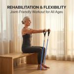 VEICK Resistance Bands, Exercise Bands, Workout Bands, Resistance Bands for Working Out with Handles for Men and Women, Exercising Bands for Fitness Weights Work Out at Home