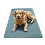 Gaiam Essentials Thick Yoga Mat Fitness & Exercise Mat with Easy-Cinch Carrier Strap,Balsam,72"L X 24"W X 2/5 Thick, 10mm