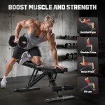 FLYBIRD Adjustable Weight Bench for Full Body Workouts