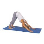 Sunny Health & Fitness Padded Yoga Pilates Mat 173x61cm