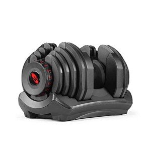 Bowflex 1090i Adjustable Dumbbell Set