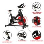 Sunny Health & Fitness Evolution Pro Indoor Cycling Bike