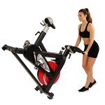 Sunny Health & Fitness Evolution Pro Indoor Cycling Bike