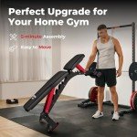 FLYBIRD Adjustable Weight Bench for Home Gym