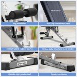Adjustable Weight Bench for Home Gym Workouts