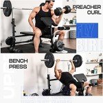 FLYBIRD Weight Bench with Preacher Curl & Leg Developer
