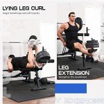 FLYBIRD Weight Bench with Preacher Curl & Leg Developer