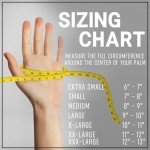 Schiek Sports 540 Platinum Weightlifting Gloves