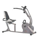Sunny Health & Fitness Magnetic Cross Trainer with Arms