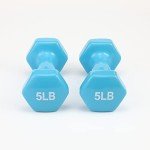 Pair of 5 Pound Vinyl Coated Dumbbells
