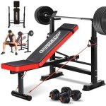 660lbs 6-in-1 Weight Bench Set with Squat Rack