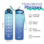 32oz Leakproof BPA Free Water Bottle with Straw